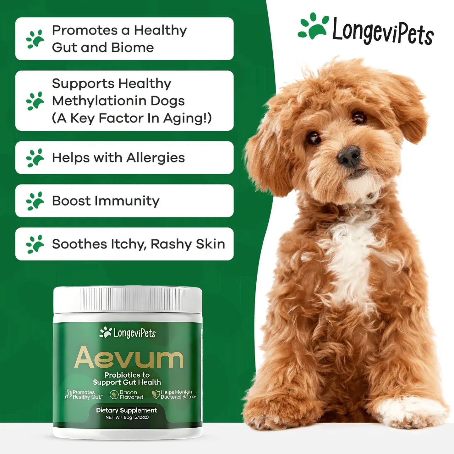 Aevum Probiotic / Longevity Support