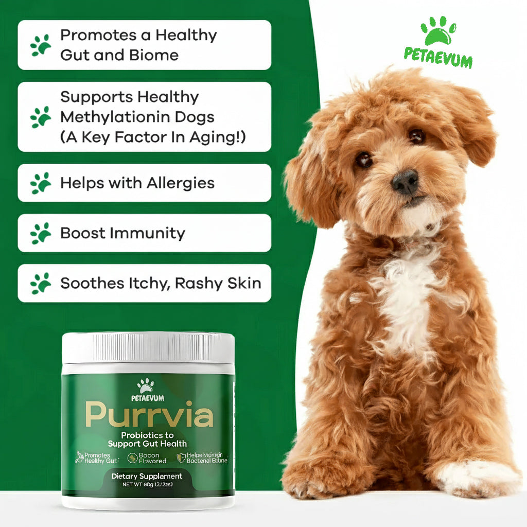 Purrvia Probiotic / Longevity Support
